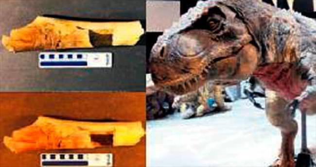 T.rex